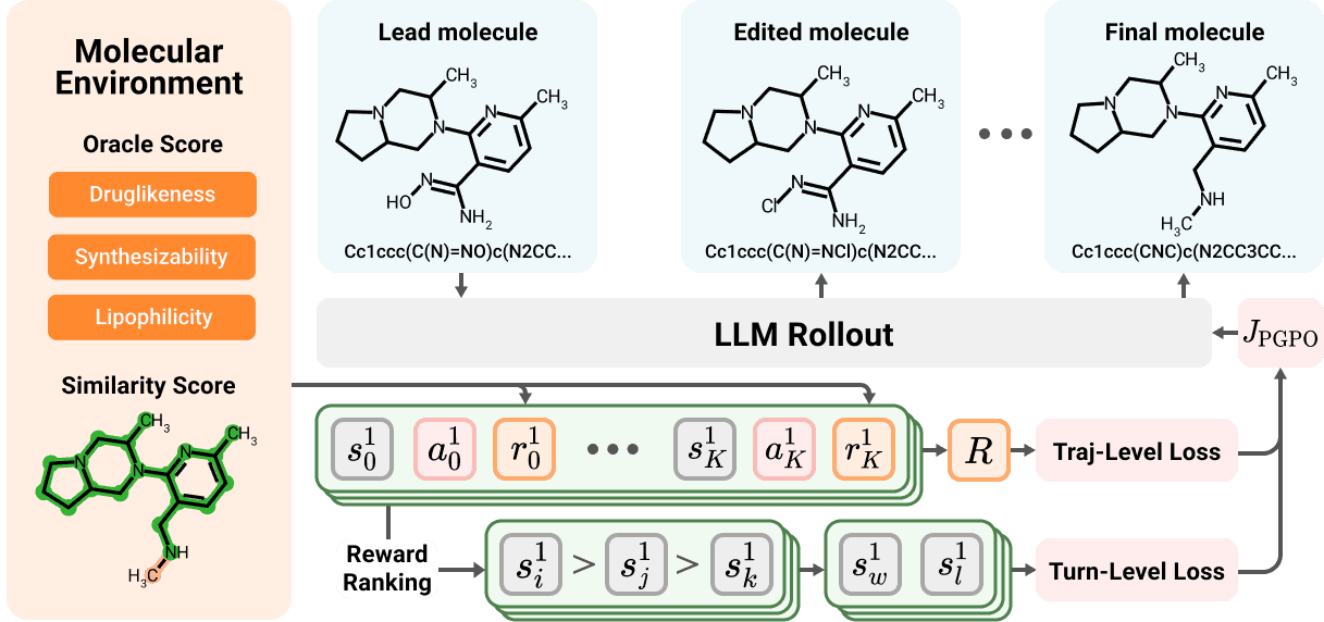 POLO: Preference-Guided Multi-Turn Reinforcement Learning for Lead Optimization