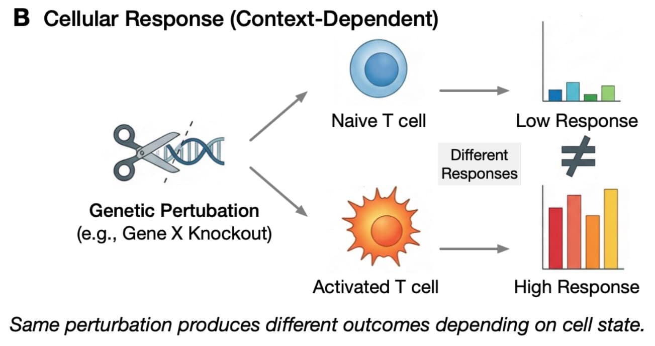 Virtual Cells Need Context, Not Just Scale